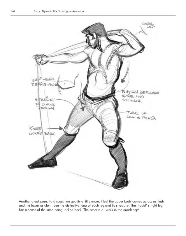 638x810 force dynamic life drawing for animators force dinamic - Force Drawing