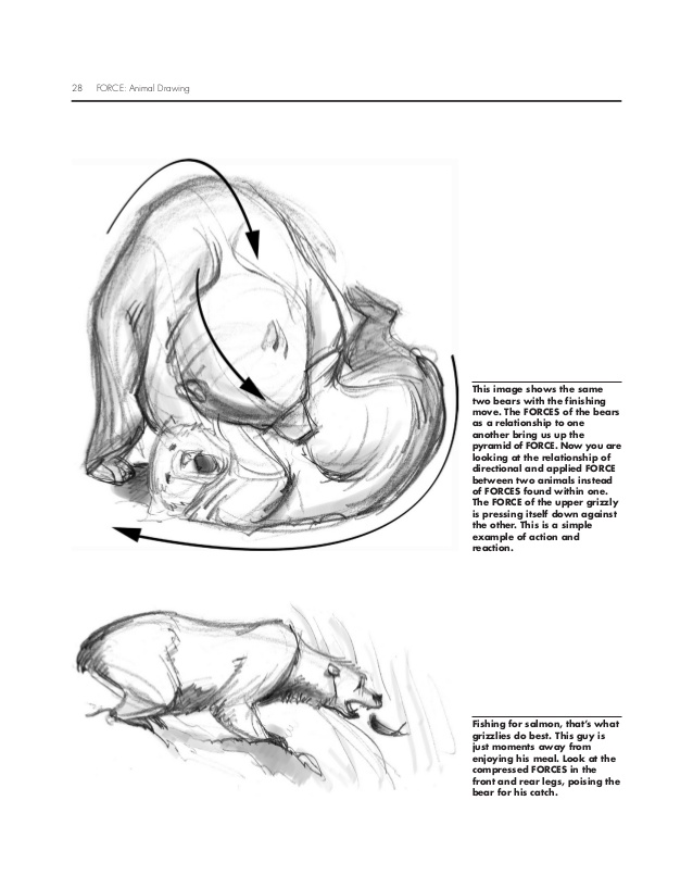 638x817 Force Animaldrawing - Force Drawing
