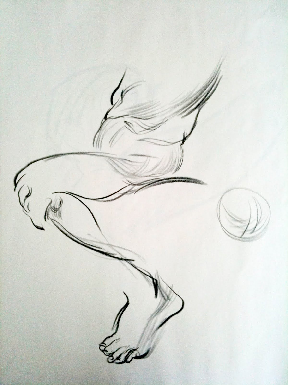 1200x1600 Forced - Force Drawing