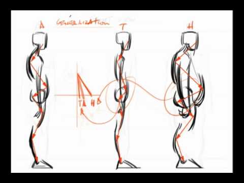 480x360 How To Draw Different Body Types - Force Drawing