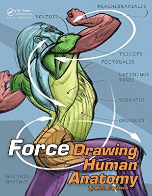 310x400 Force Drawing Human Anatomy - Force Drawing