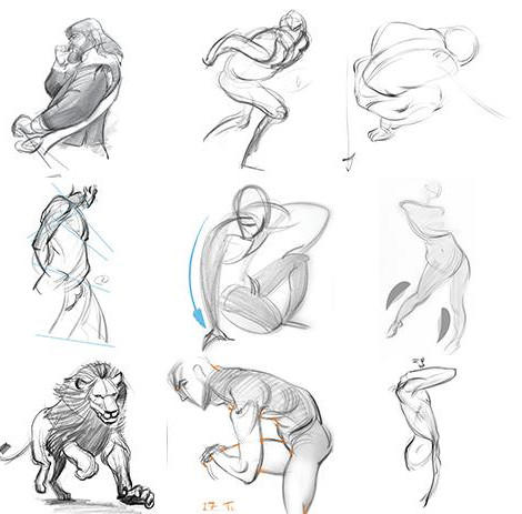 470x463 Artist Mentoring - Force Drawing