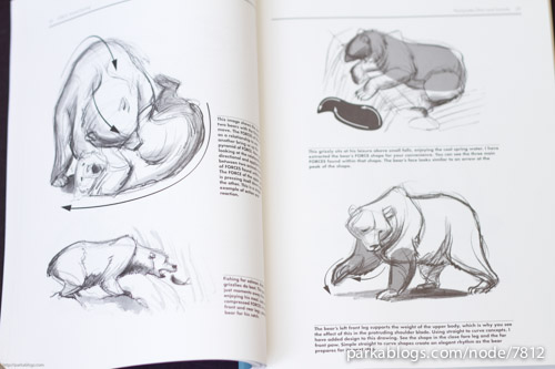 500x333 Book Review Force Animal Drawing Animal Locomotion And Design - Force Drawing