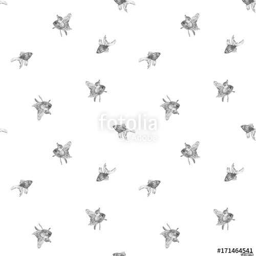 500x500 vector illustration with goldfish drawn - Force On A Goldfish Vector Drawing