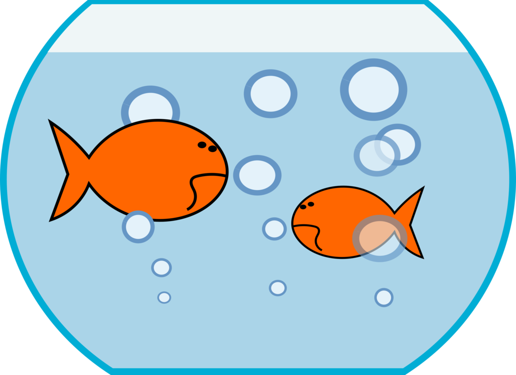 1032x750 collection of free goldfish drawing vector download on ui ex - Force On A Goldfish Vector Drawing