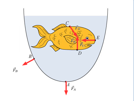 458x346 force on a goldfish vector drawing a fishbowl cont - Force On A Goldfish Vector Drawing