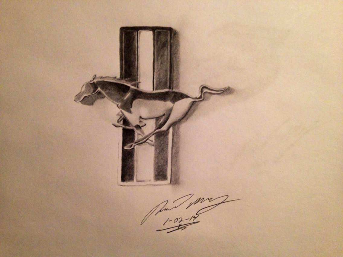 1136x852 pencil drawings of mustangs ford mustang logo drawing - Ford Mustang Logo Drawing