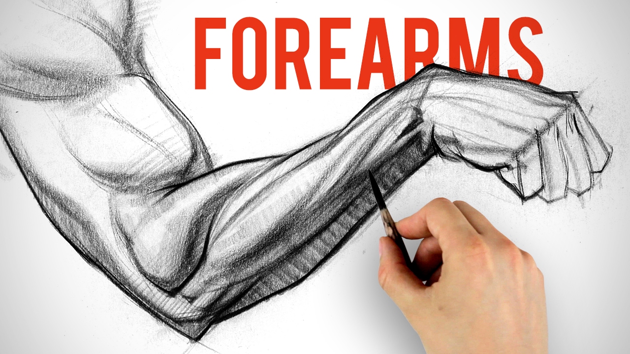 1280x720 Drawing And Shading Forearms - Forearm Drawing