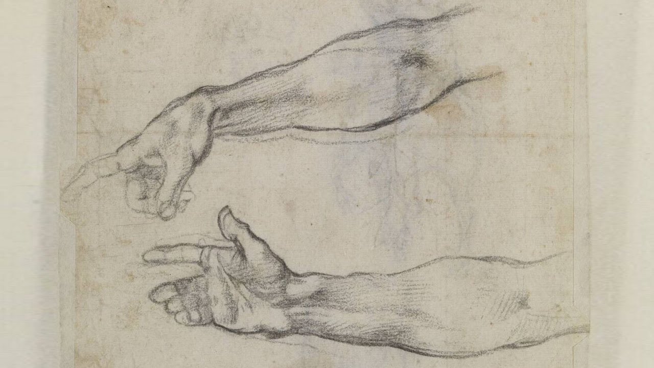 1280x720 Forearm Anatomy - Forearm Drawing