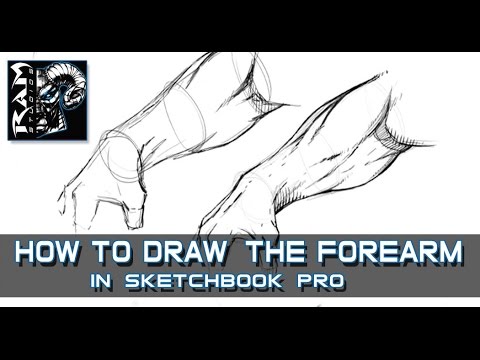 480x360 How To Draw Forearm Muscles - Forearm Drawing