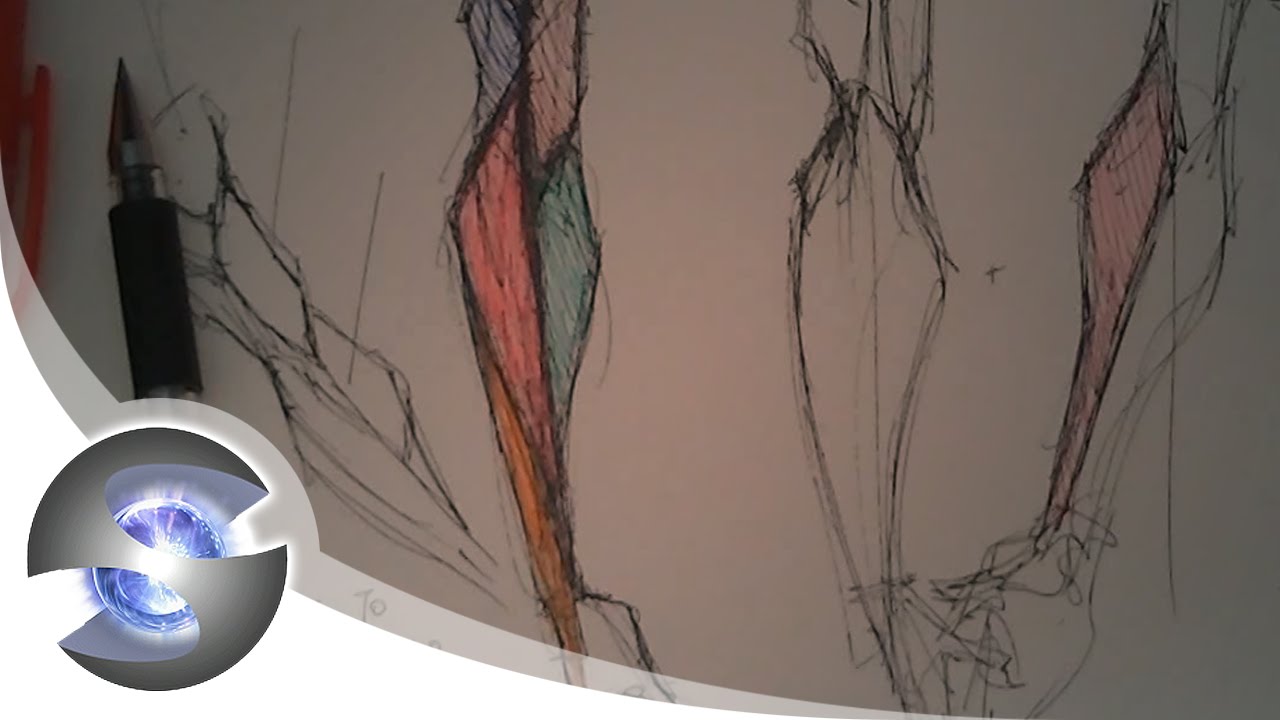1280x720 How To Draw The Forearm - Forearm Drawing