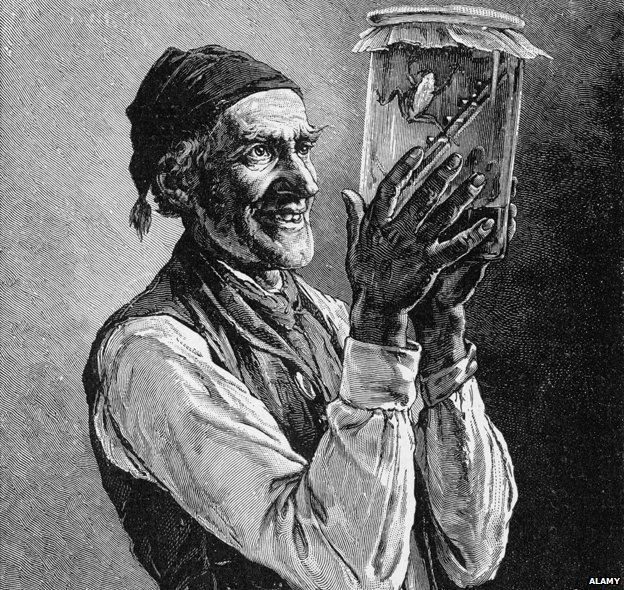 624x590 the birth of the weather forecast - Forecast Drawing