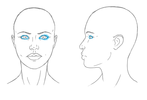 600x409 the differences between male and female portraits - Forehead Drawing