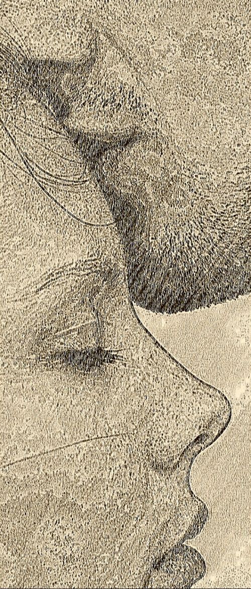 500x1174 pencil sketch - Forehead Kiss Drawing