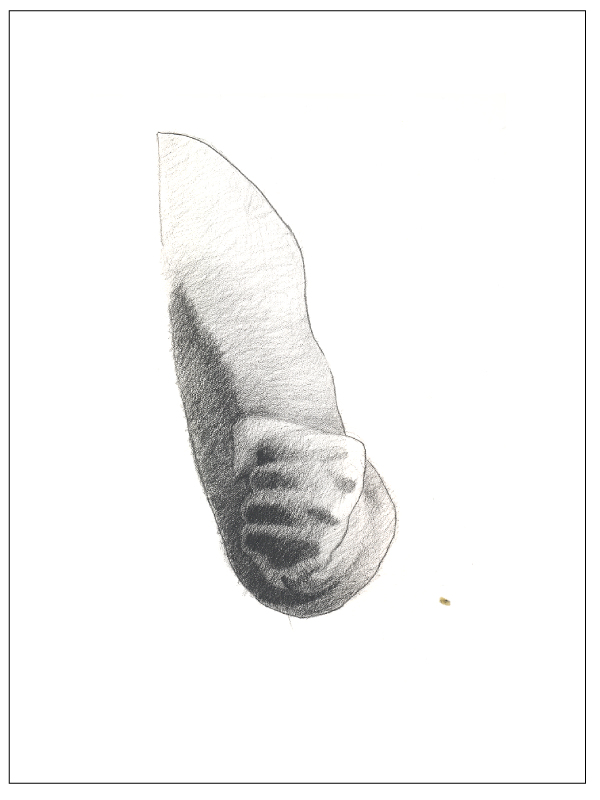 600x800 paint draw paint, learn to draw drawing basics foreshortening form - Foreshortening Drawing