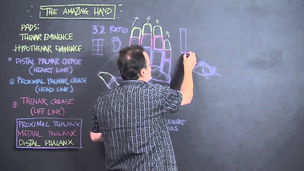 1280x720 how to draw a foreshortened hand without reference - Foreshortening Hand Drawing