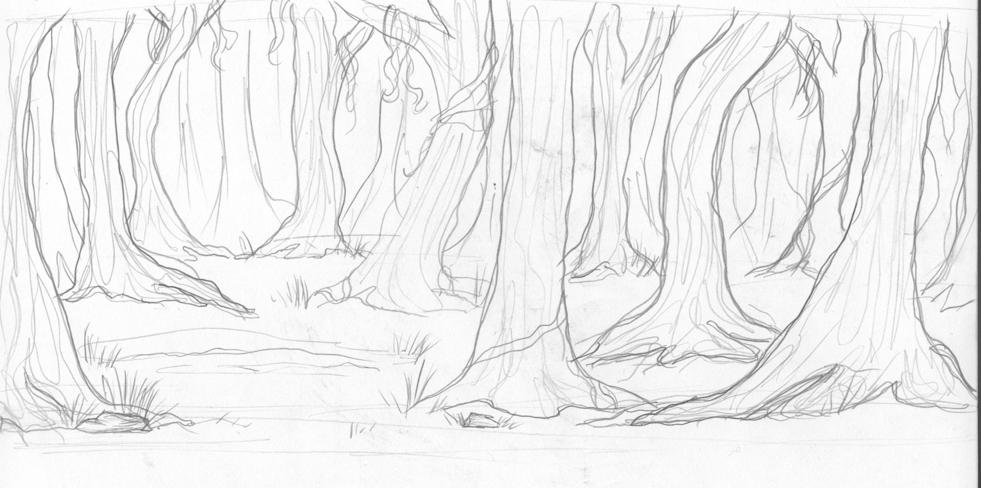 How To Draw A Forest Background Easy