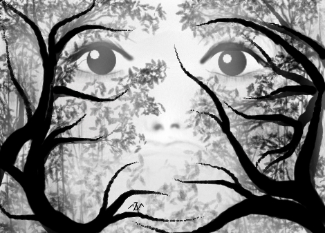 470x338 Enchanted Forest - Forest Black And White Drawing