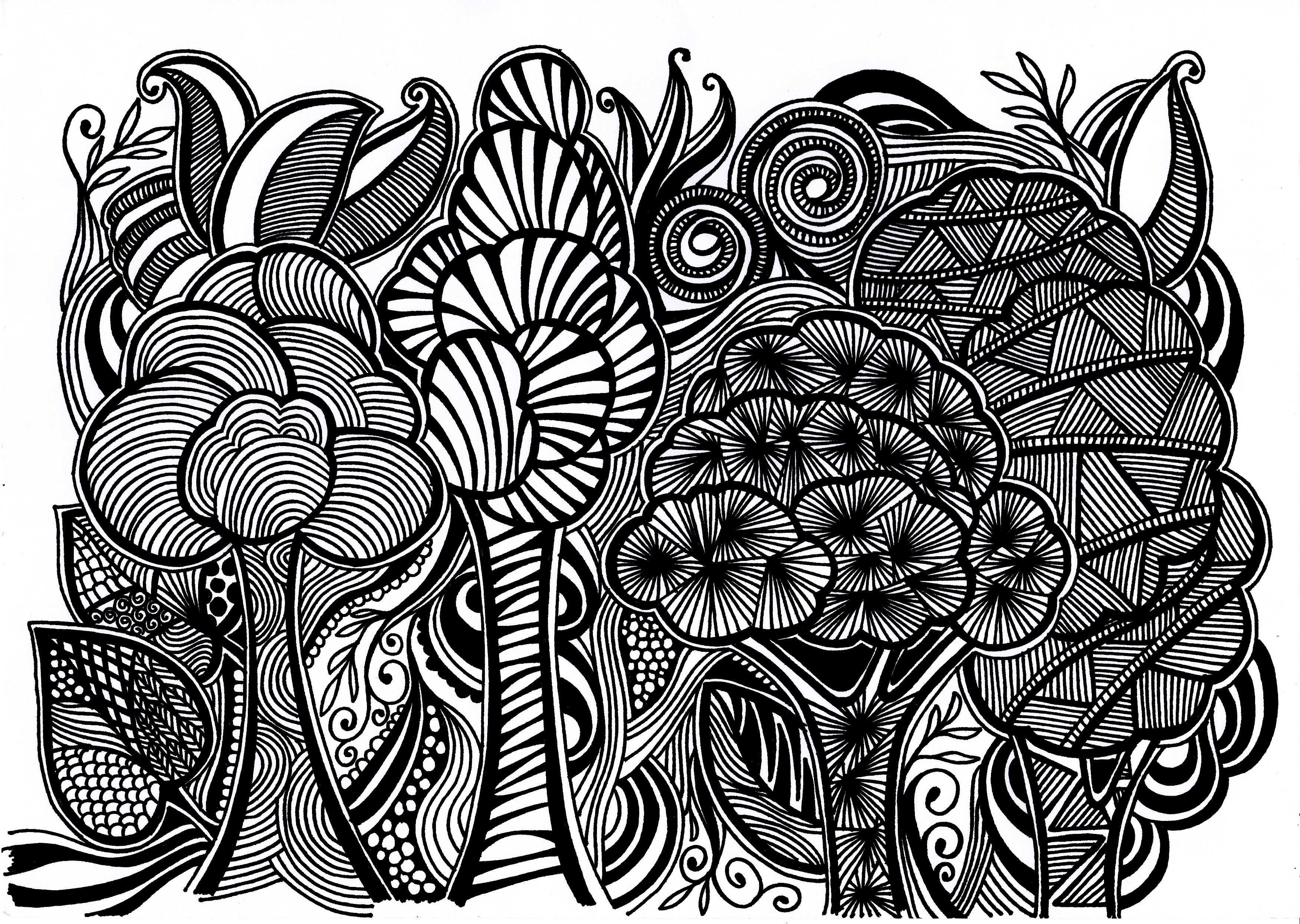3504x2492 Forest - Forest Black And White Drawing