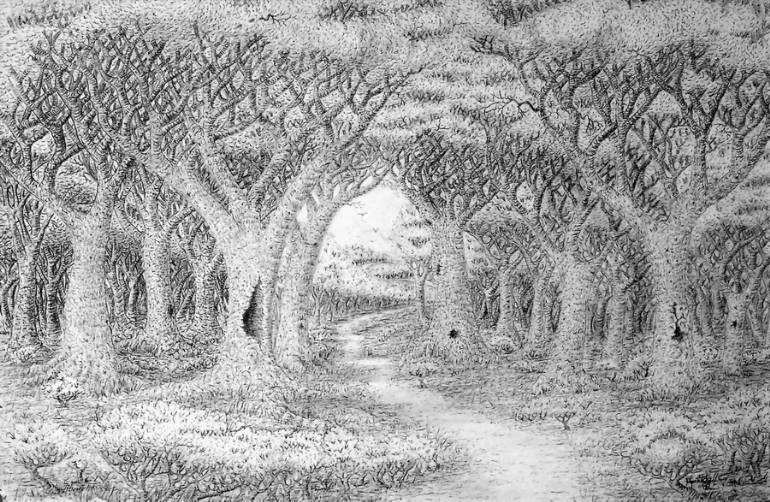770x502 Forest Path Drawing - Forest Black And White Drawing