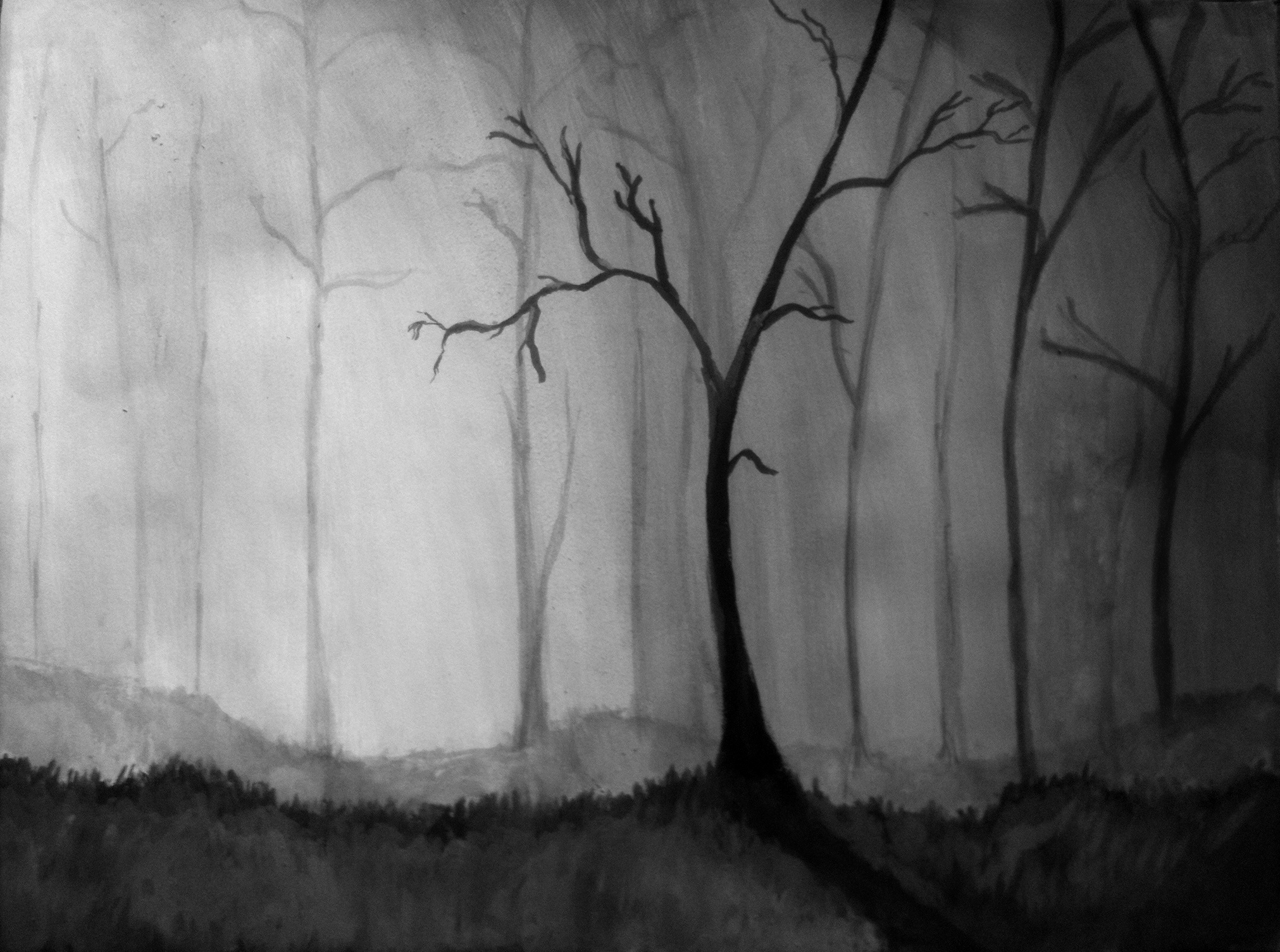 2023x1505 Forest Drawing Free Download - Forest Black And White Drawing