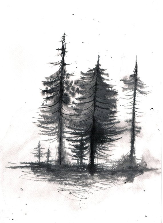 570x778 Forest Painting On Paper Black And White Fir Painting - Forest Black And White Drawing
