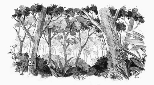 500x278 Forest Uploaded - Forest Black And White Drawing