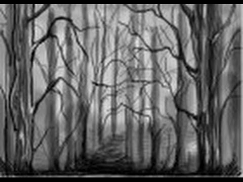 480x360 how to draw a misty forest - Forest Black And White Drawing
