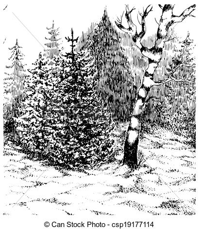 410x470 Winter Forest Black And White Hand Darwn Landscape Vector - Forest Black And White Drawing