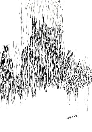 375x536 After The Forest Fire Drawing - Forest Black And White Drawing