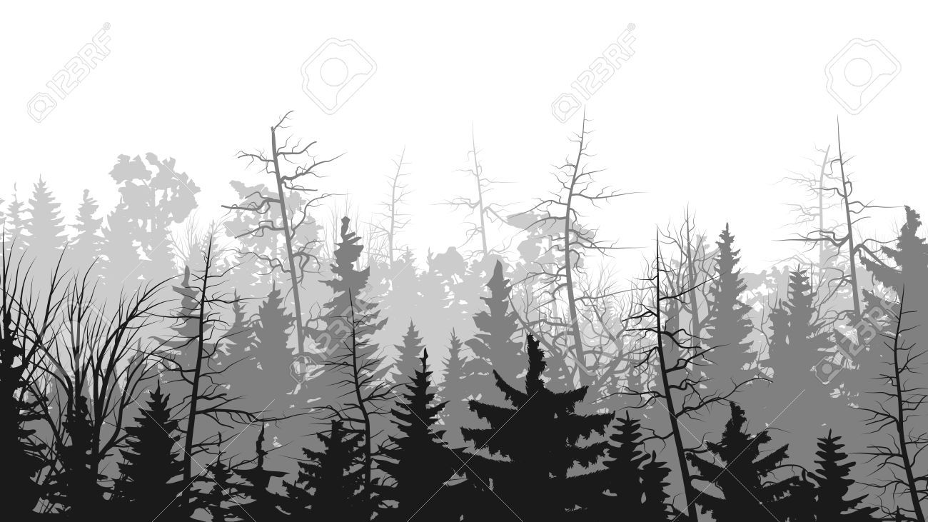 1300x731 Forest Illustration Black And White - Forest Black And White Drawing