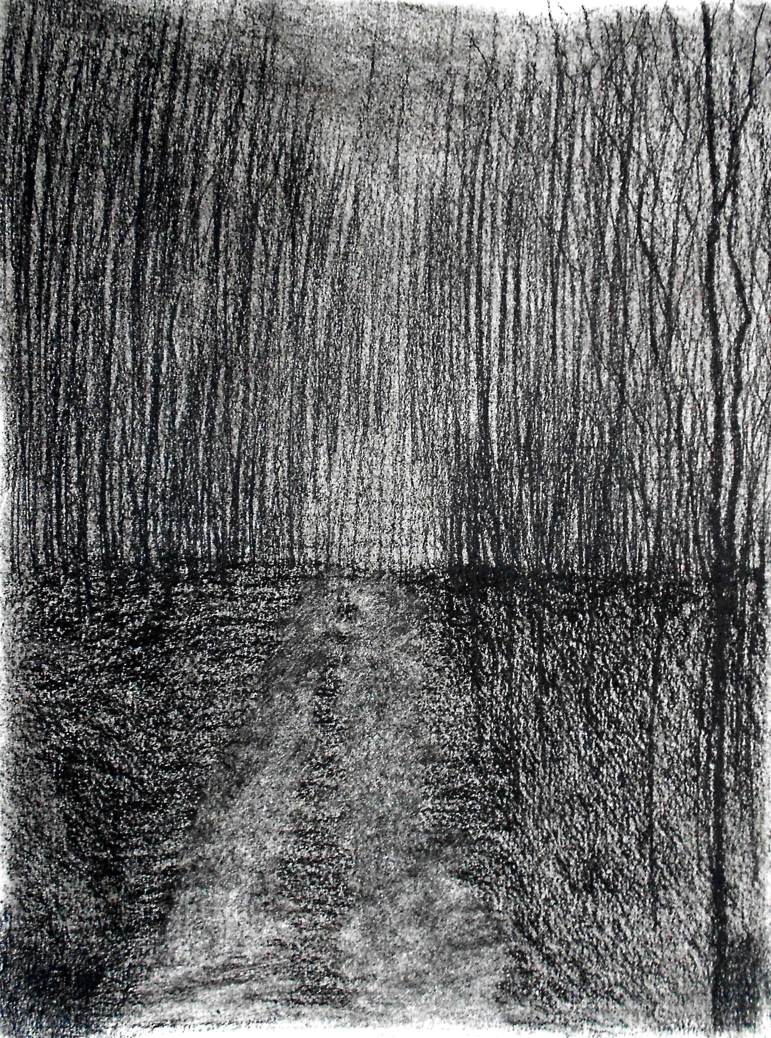 2652x3570 Dark Forest Road Night Trees Charcoal Black And White Drawing - Forest Black And White Drawing