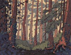 Forest Drawing at PaintingValley.com | Explore collection of Forest Drawing