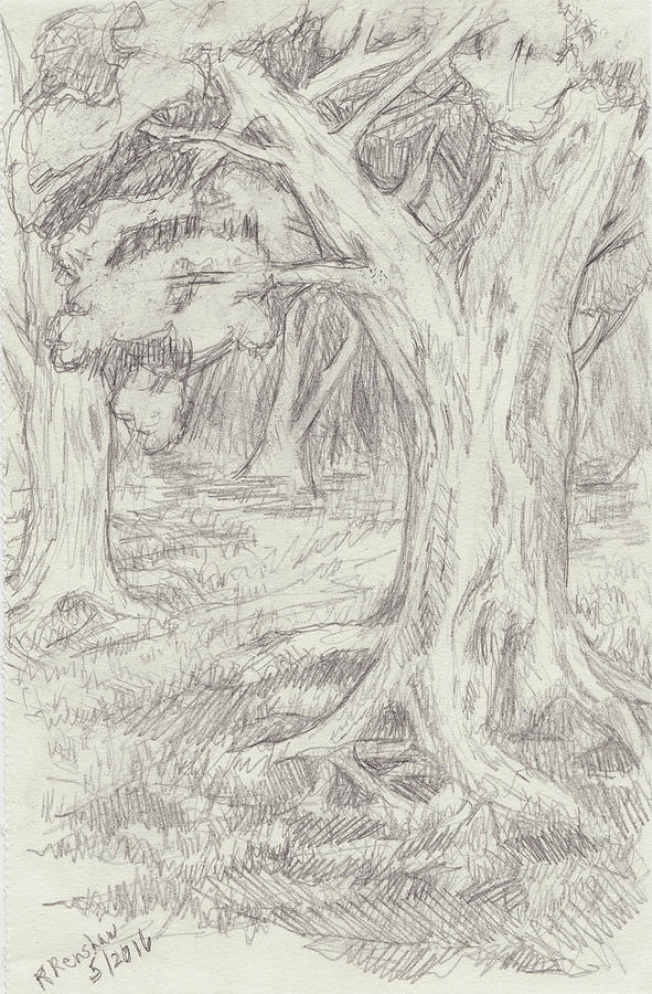 591x900 Windy Forest Path Drawing - Forest Drawing