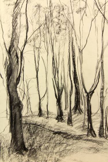 375x563 Winter Forest Drawing - Forest Drawing