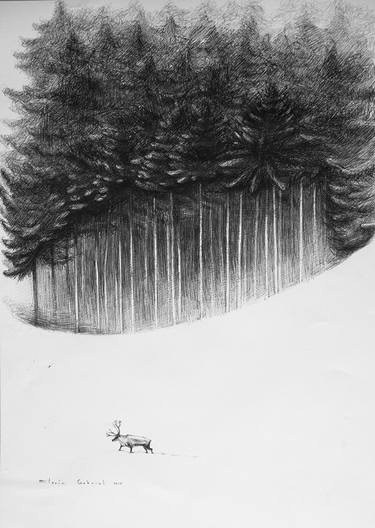 375x528 The Forest Drawing - Forest Drawing