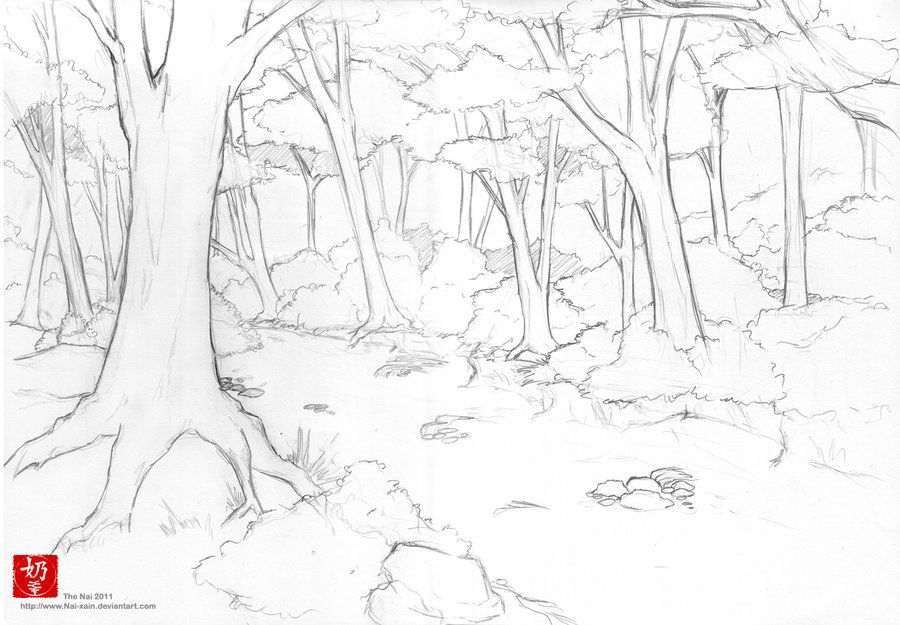 900x625 beautiful forest drawings forest line art - Forest Drawing