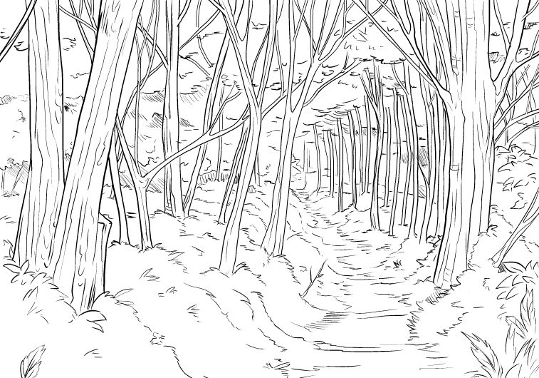 757x530 Coloring For Adults - Forest Drawing