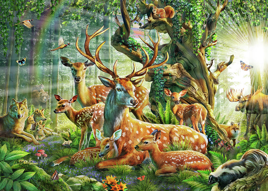 900x642 Deer Family In The Forest Drawing - Forest Drawing