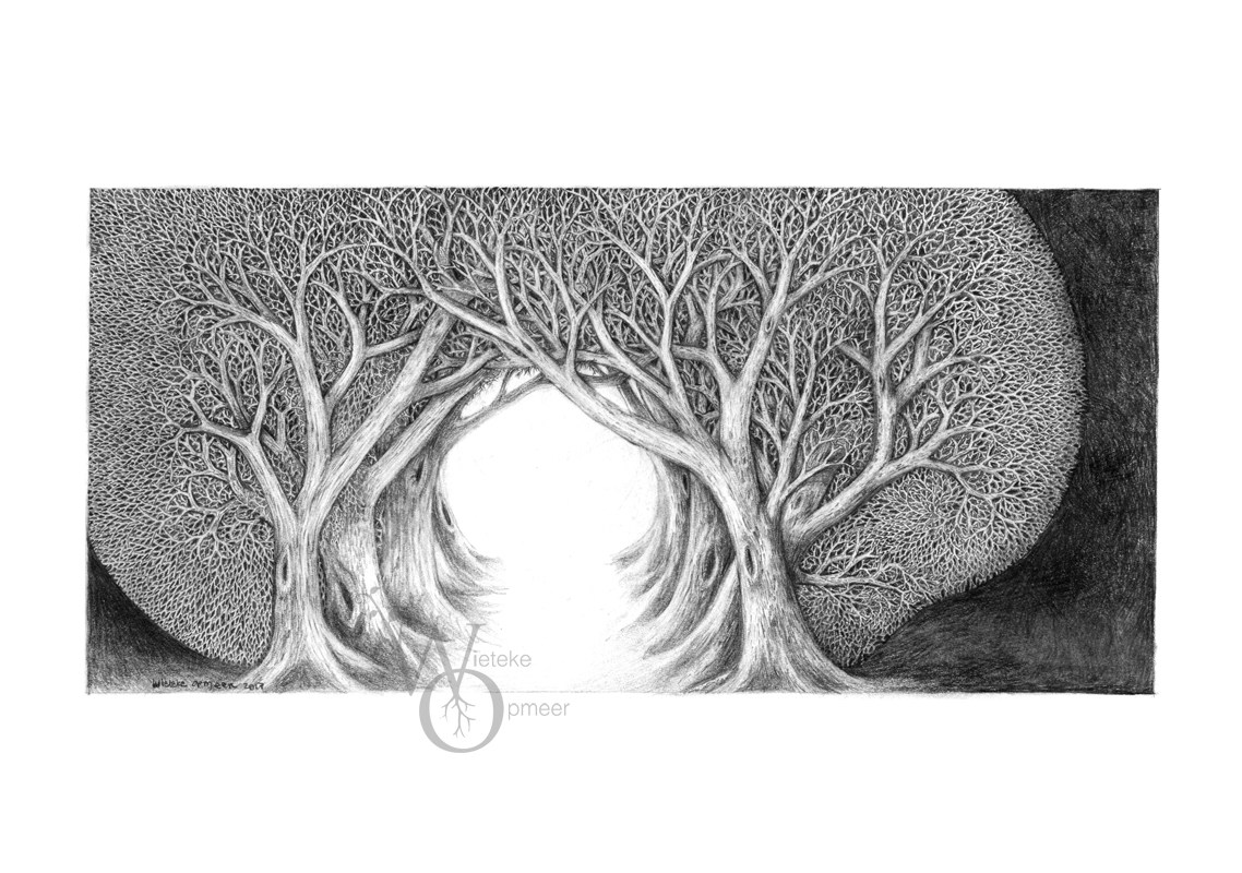 1138x800 Drawing 'forest Passage' - Forest Drawing Black And White