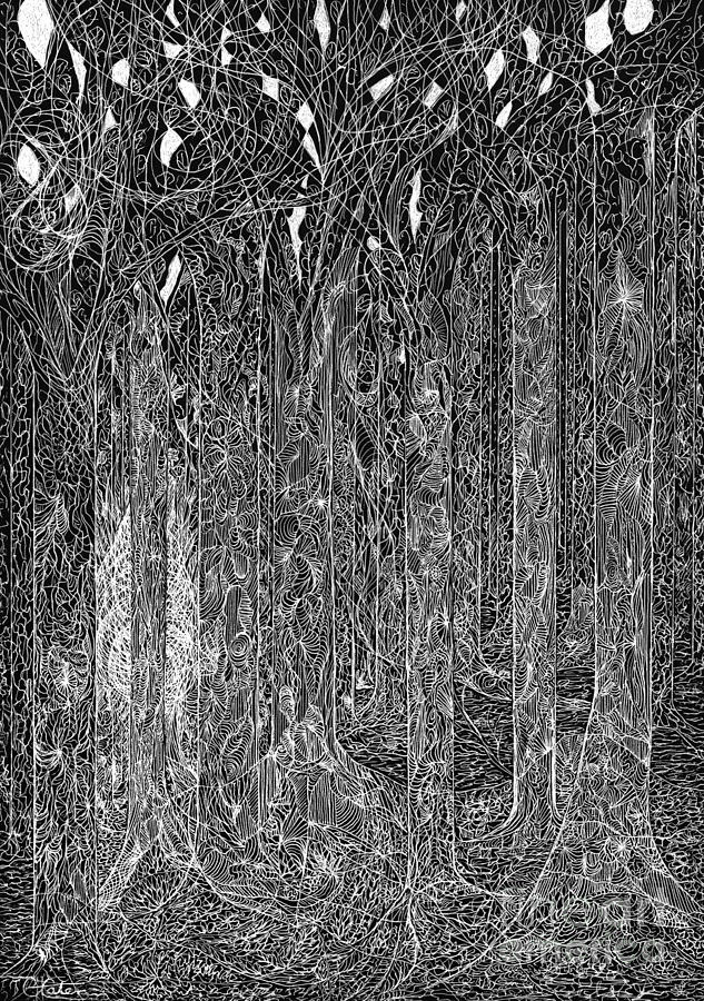 Forest Drawing Black And White at Explore