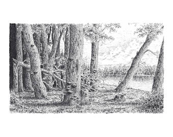 340x270 Forest Drawing Etsy - Forest Drawing Black And White