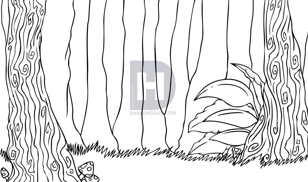 1080x641 How To Draw A Forest, Step - Forest Drawing Black And White