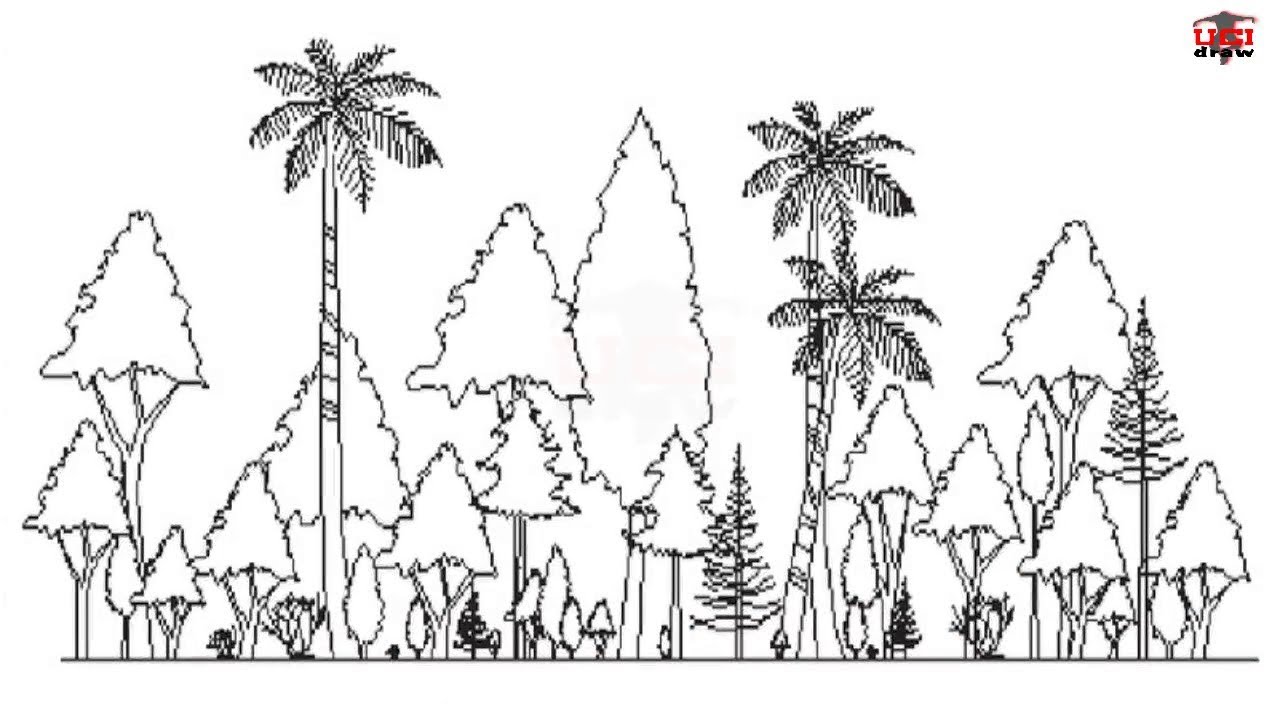 1280x720 How To Draw A Forest Step - Forest Drawing Black And White