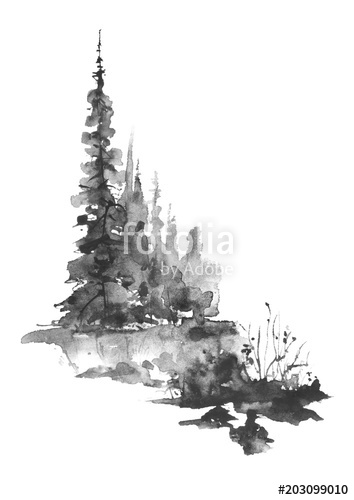 354x500 Watercolor Group Of Trees - Forest Drawing Black And White