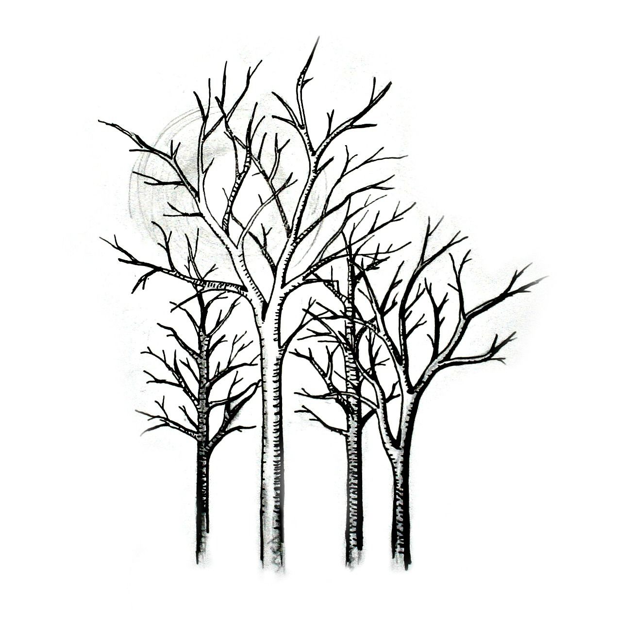 1273x1273 Art, Drawing, Black, White, Blackandwhite, Illustration, Forest - Forest Drawing Black And White
