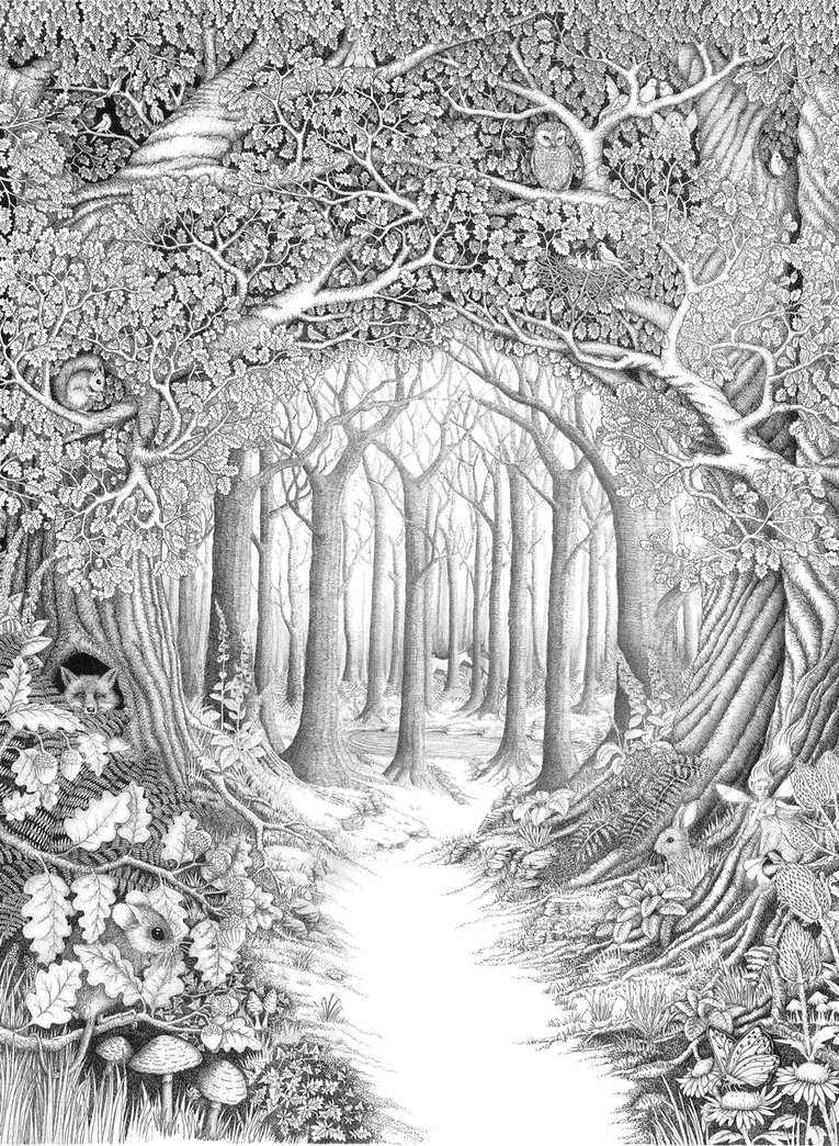 Forest Drawing Black And White at Explore