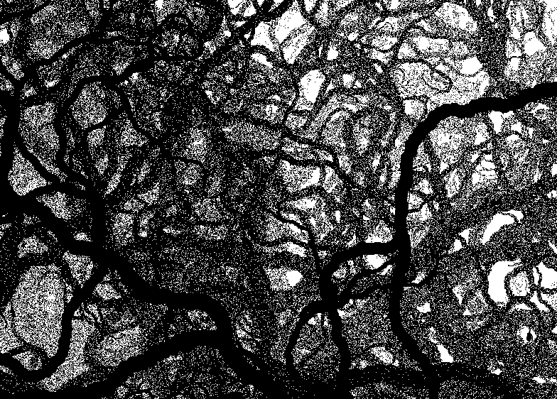 784x562 Popularity Contest - Forest Drawing Black And White