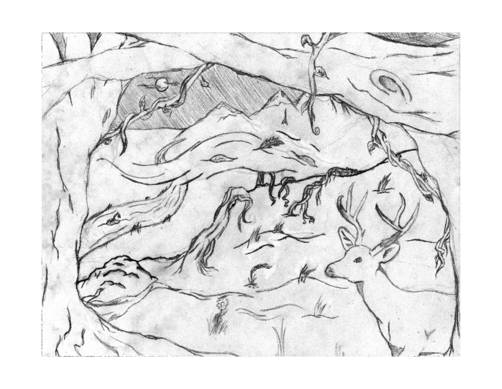 1016x787 Collection Of Free Drawing Sketch Forest Download On Ui Ex - Forest Drawing Black And White