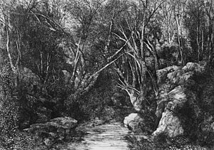 300x211 Dark Forest Drawings Fine Art America - Forest Drawing Black And White